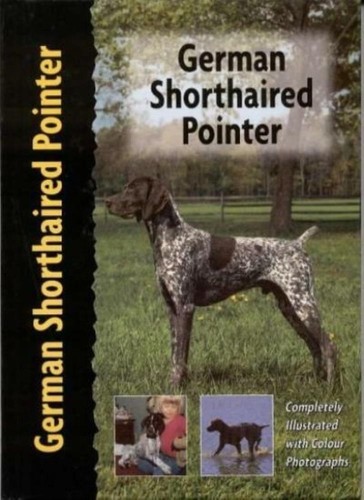 German shorthaired pointer - pointer,