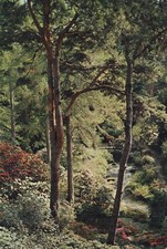 Postcard View down to the