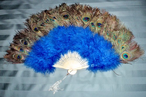 Vintage peacock ostrich - peacock, &