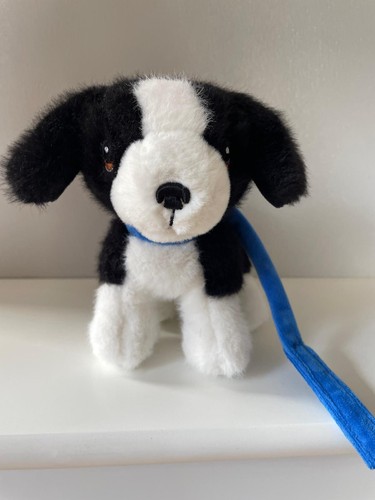 Keeleco border collie puppy - border,