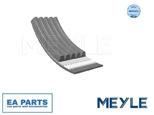 Ribbed belts for abarth 500 - belts,
