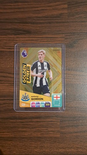 Panini adrenalyn premier - panini,