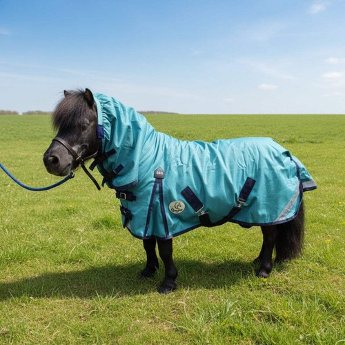 Ruggles 50g combo turnout - turnout, rug
