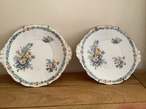 Fine bone roslyn china display - bone,