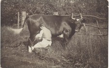 Waddesdon photographer. Man