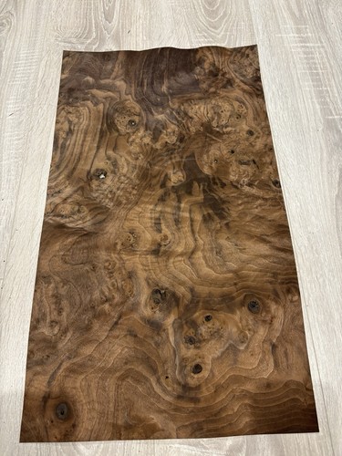 Burr walnut natural wood - burr,