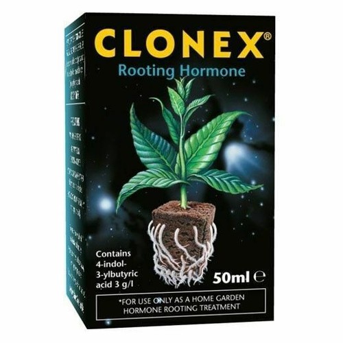 Growth technology clonex - technology,