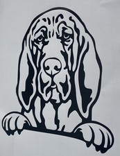 1x Bloodhound Dog Decal Vinyl
