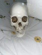 Life Size 1:1 Human Anatomical