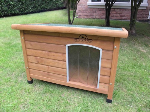Norfolk insulated dog - 🐶🏡,