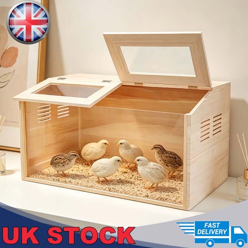 Solid wood small pet - wood,