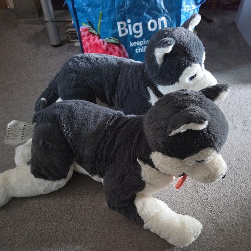 Ikea livlig husky dog - husky, big