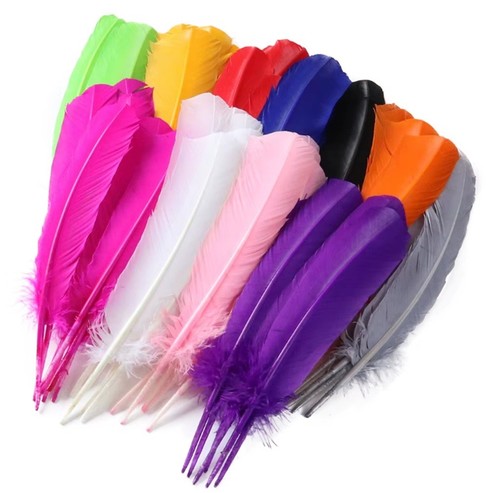 35cm turkey feathers quill - 25-35cm,