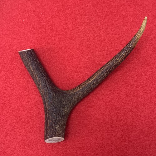 One piece deer antler - piece,