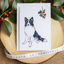 Border Collie Christmas Card