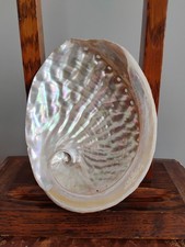 Large Red Abalone Shell