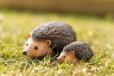 Resin Hedgehog and Baby Garden