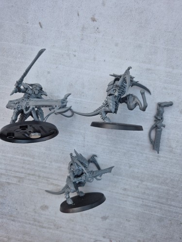 Tyranid warriors tyranids - warriors,