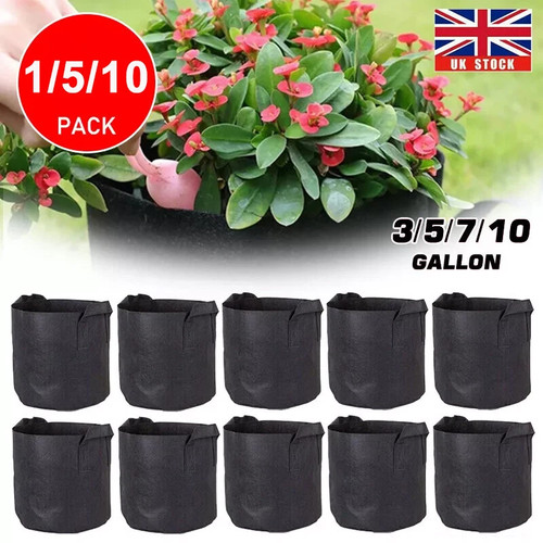 10pack large plant grow - 1-10pack,