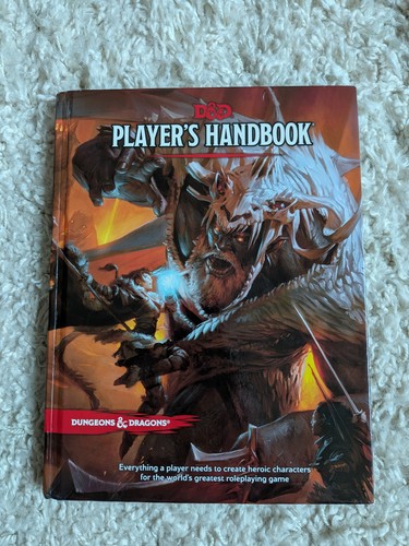 Dungeons and dragons player - dragons, player's