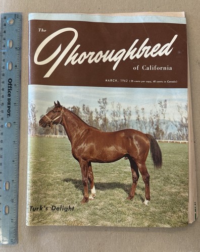 1962 the thoroughbred - thoroughbred, of