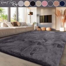 Large Shaggy Rugs Anti Slip
