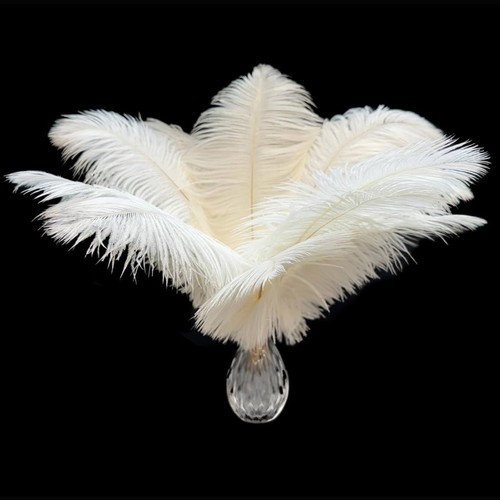 Pcs natura white ostrich - natura,