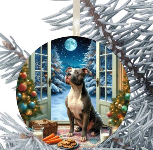Staffordshire bull terrier dog - bull,