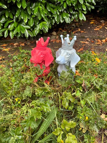 Medium wooden dog sculpture - ,