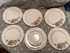 Beautiful Vintage Alfred Meakin England Plates 16cm VGC