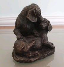 Labrador Puppies / Dog