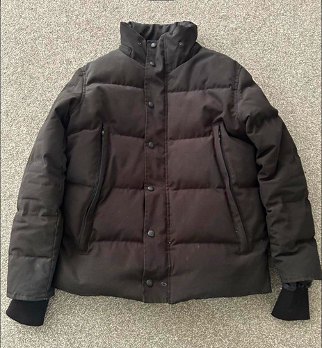 Canada goose arctic program - canada,
