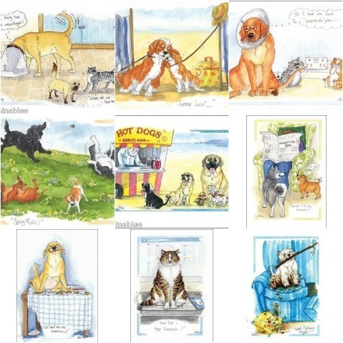 Alisons animals funny card