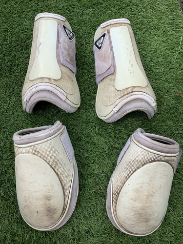 Tri zone tendon - tendon, fetlock