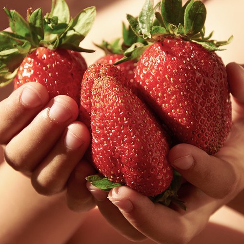 Strawberry plants sweet - strawberry,