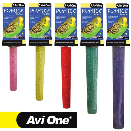 Avi one pumice bird - pumice, perch