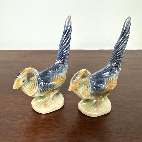 Pair jema holland - pair,