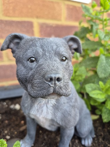 Staffordshire terrier figure - staffordshire,