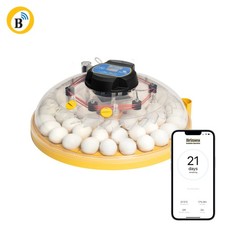 Brinsea Maxi 48 EX Connect