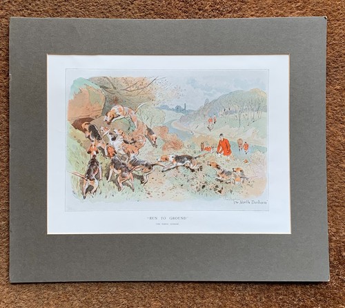The north durham hounds - durham,