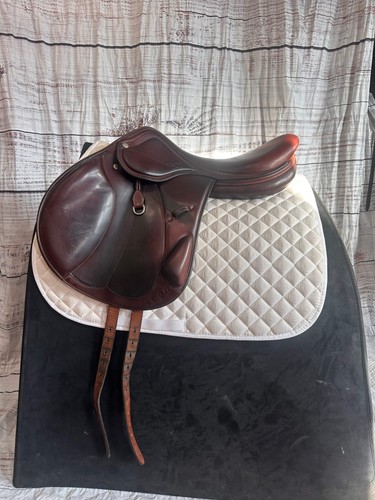 Used vega amerigo - vega,