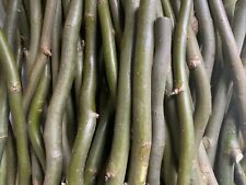 50 X 30cm/12inches Corkscrew