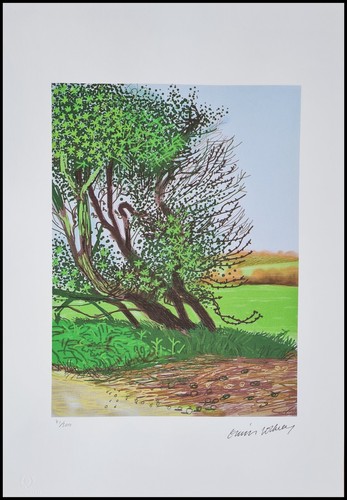 David hockney the - hockney, of