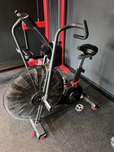 Exercise bike schwinn airdyne - exercise,