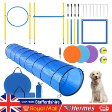 Dog Agility Equipment Tool Set