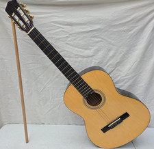 Elevation 6-String Acoustic