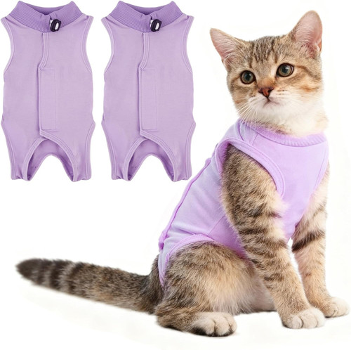 Pcs small cat - 2, recovery