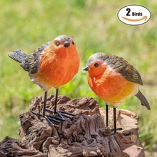 2x Red Breast Robin Garden
