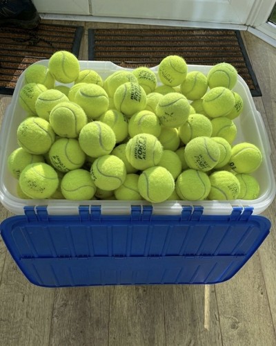 Used tennis balls suitable - used,