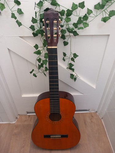 Hohner full size acoustic - hohner,